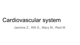 Cardiovascular system - Mercer Island School District