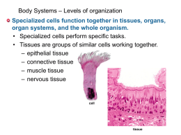 body systems overviewx - Mercer Island School District