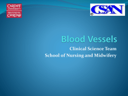Blood Vessels - Learning Central