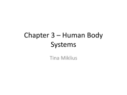 human-body-systemsx