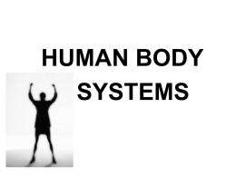 20145 February Human Body PowerPoint