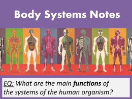 Body Systems Notes - Northwest ISD Moodle