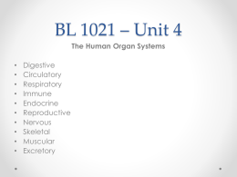 BL 1021 – Unit 4