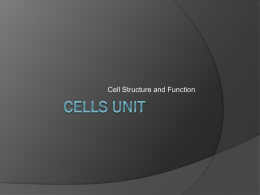 Cells PowerPoint