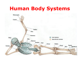 Human Body Systems - Effingham County Schools