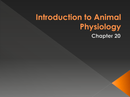 Introduction to Animal Physiology