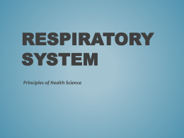 Respiratroy System PPT
