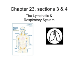 Chapter 2, section 2