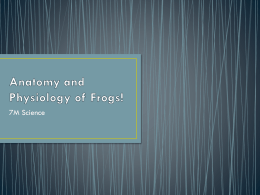 Anatomy and Physiology of Frogs!