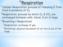 Respiratory/Digestive PPT