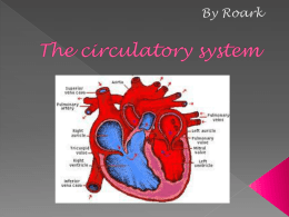 The circulatory system by Ryanx