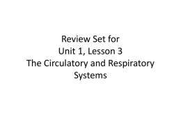 Review Set for Unit 1, Lesson 3 The Circulatory and