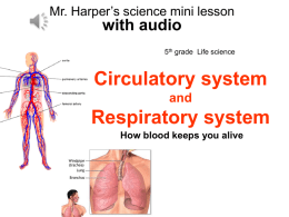 Circulatory system - Pacoima Charter School