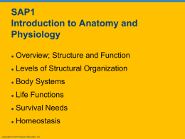 SAP1 Introduction to Anatomy and Physiology