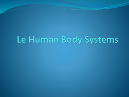 Le Human Body Systems