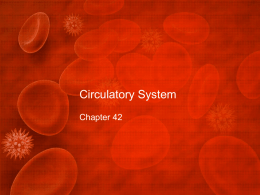 CirculatorySystemx