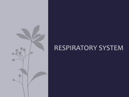 RESPIRATORY SYSTEM FOR USE WITH LABx
