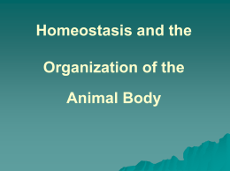 Homeostasis, Circulation and Respiration.