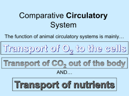 Comparative Circulatory Systems