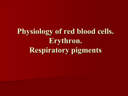 01 Physiology of red blood cells. Erythron. Respiratory pigments