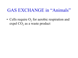 GAS EXCHANGE in *Animals*