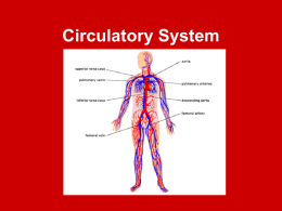 Circulatory Systemand Respiratory System