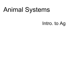 Animal Systems Notes