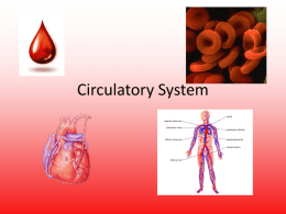 Circulatory System Powerpoint presentation
