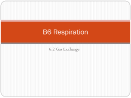 6.2 Respiration gas exchangex - HIS-IGSci-Bio