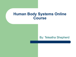 Online Human Body Course