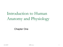 Introduction to Anatomy New