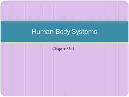 Human Body Systems - Maria Regina High School
