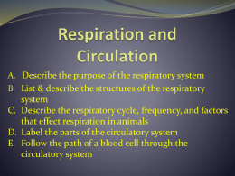 Respiration and