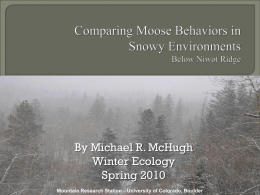 Identifying Moose Behaviors in Snowy Environments In the