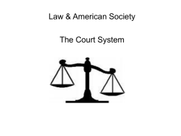 LAS Chapter 5 The Court System
