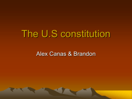 The US constitution