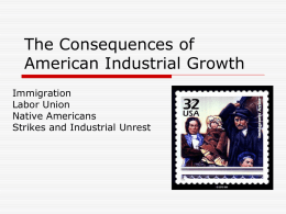 The Consequences of American Industrial Growth