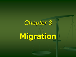 Chapter 3 Summary Presentation