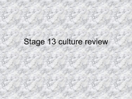 Stage 13 culture review