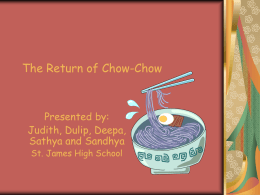 The Return of Chow-Chow