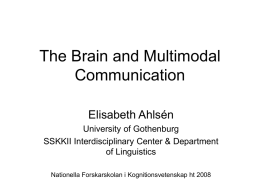 The Brain and Multimodal Communication