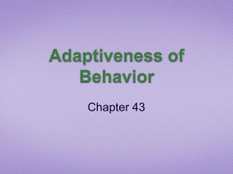 Adaptiveness of Behavior