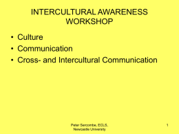 intercultural awareness workshop