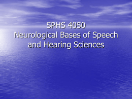 SPHS 4050, Neurological bases, PP 01