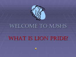 What is Lion Pride?