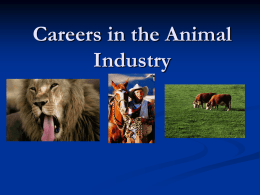 Careers PowerPoint - Havelock Agricultural Education
