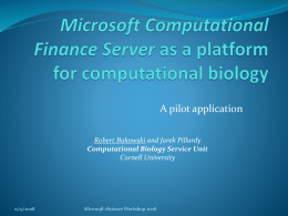 Microsoft Computational Finance Server as a platform for
