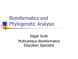 Bioinformatics and Phylogenetic Analysis