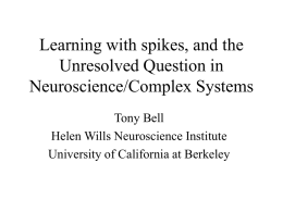 Unresolved questions in Neuroscience/Complex Systems
