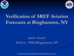 Verification of SREF Aviation Forecasts at Binghamton, NY